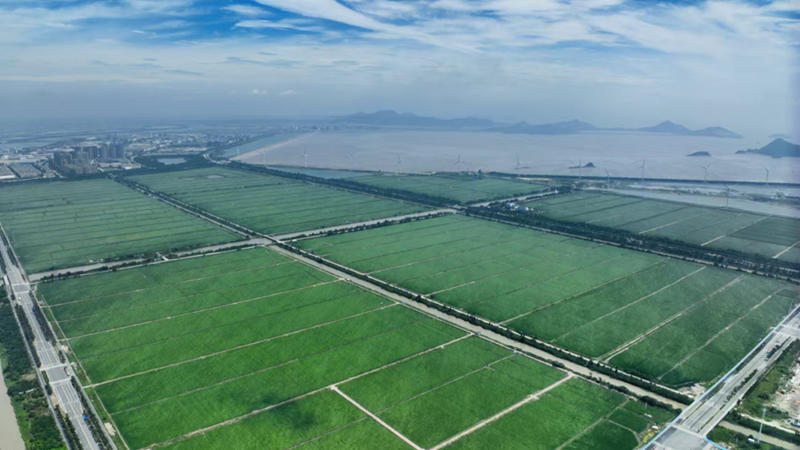 浙農助力臺州農業(yè)新飛躍 打造現(xiàn)代農業(yè)服務新標桿